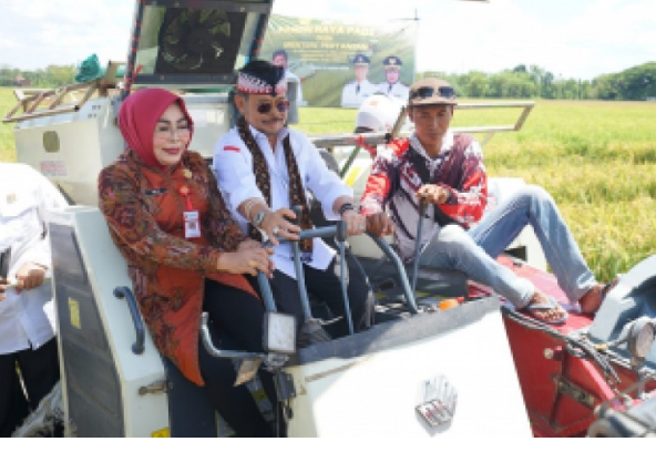 19. foto panen raya